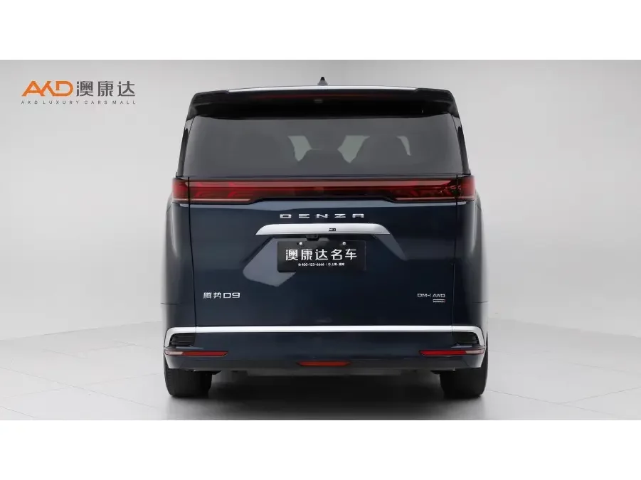 Denza D9 DM