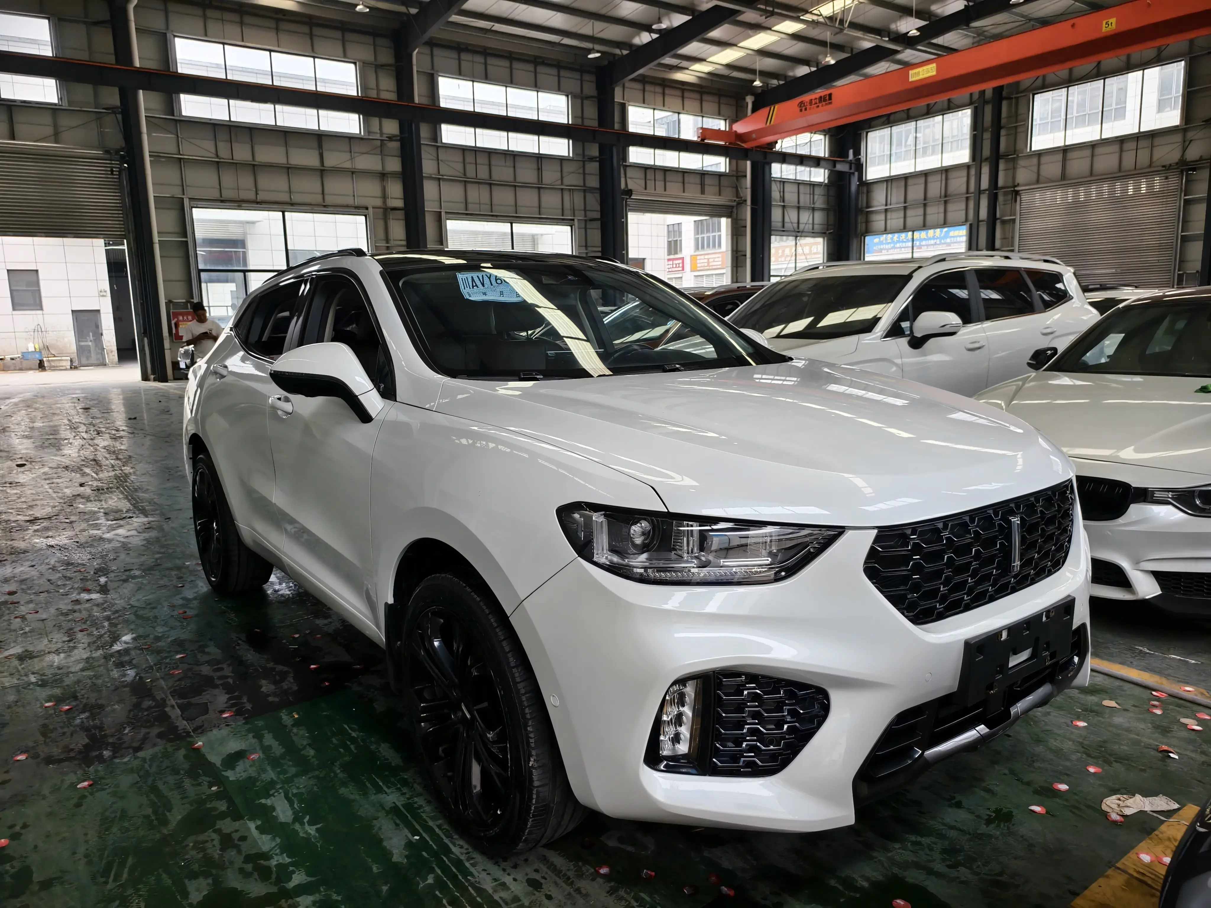 Wey Wei brand VV5