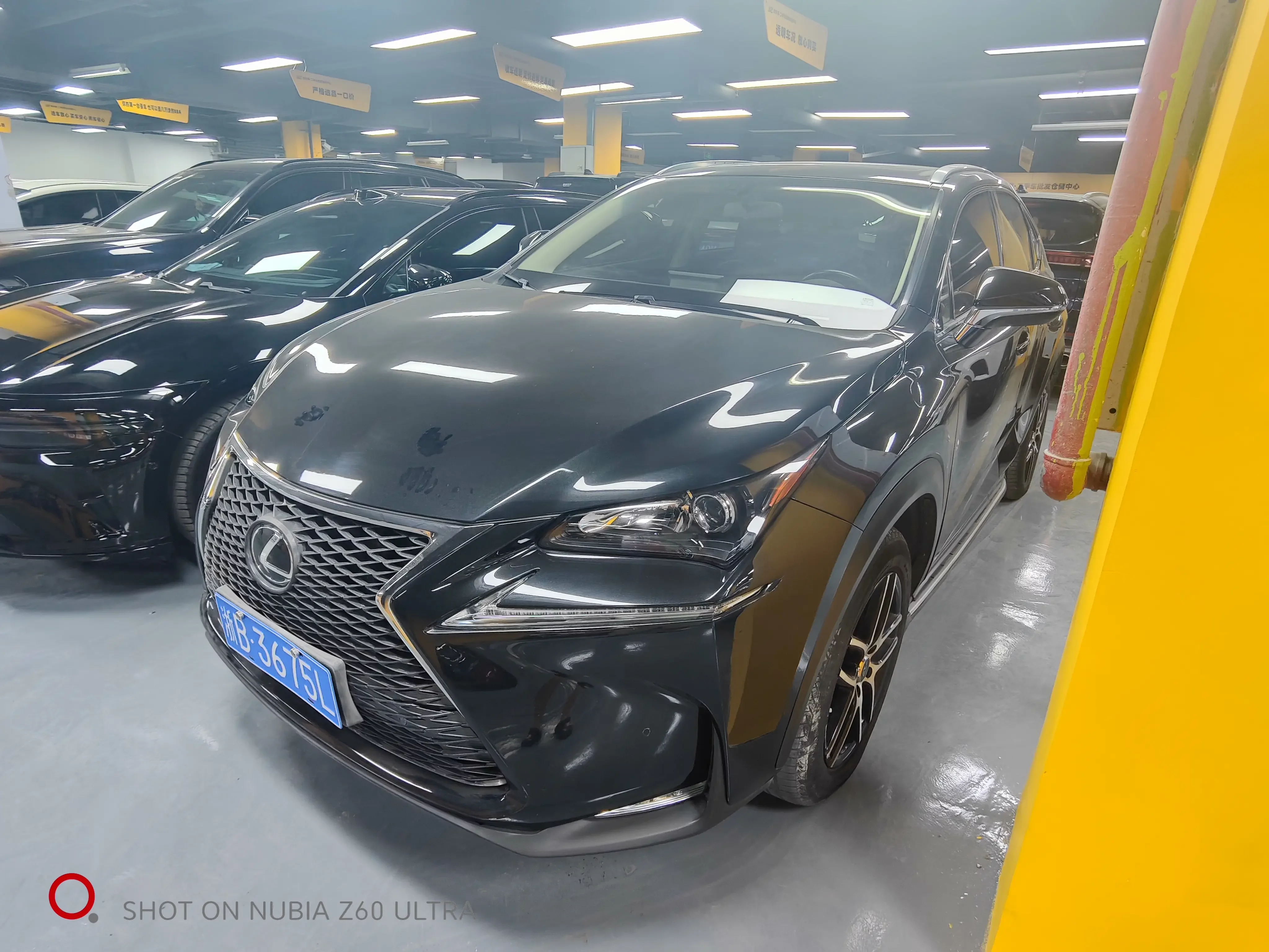 Lexus NX