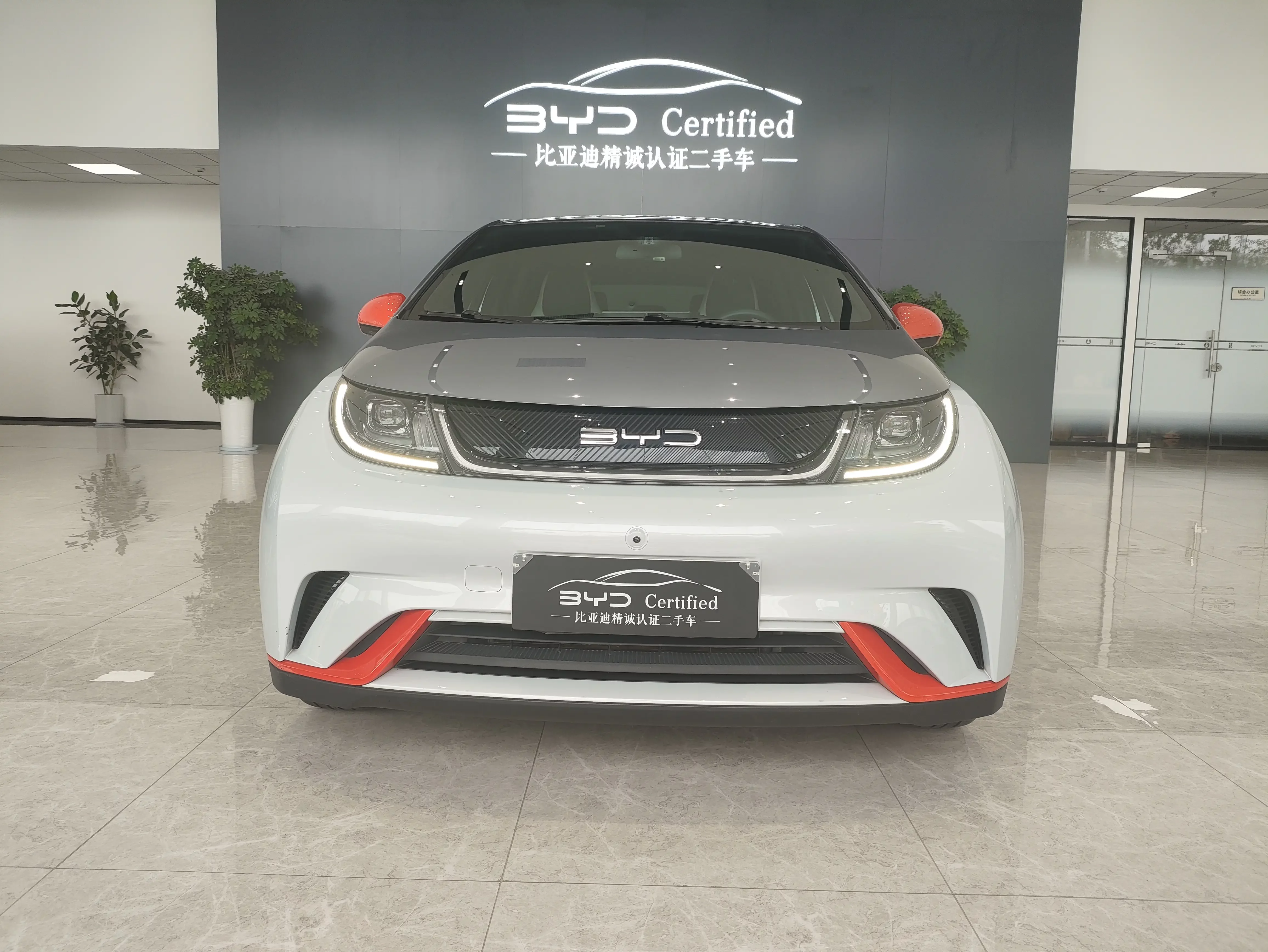 BYD dolphin