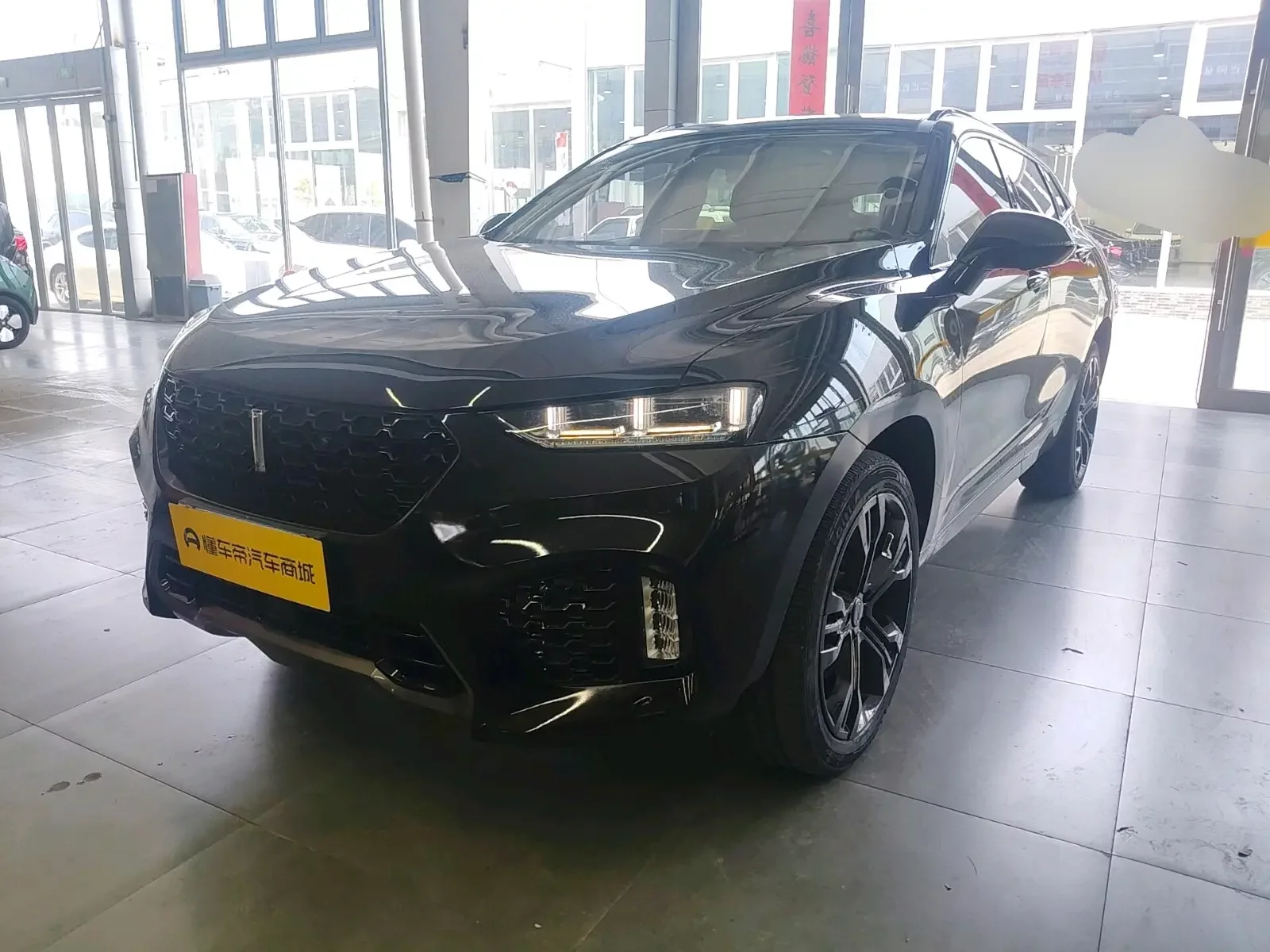 Wey Wei brand VV7