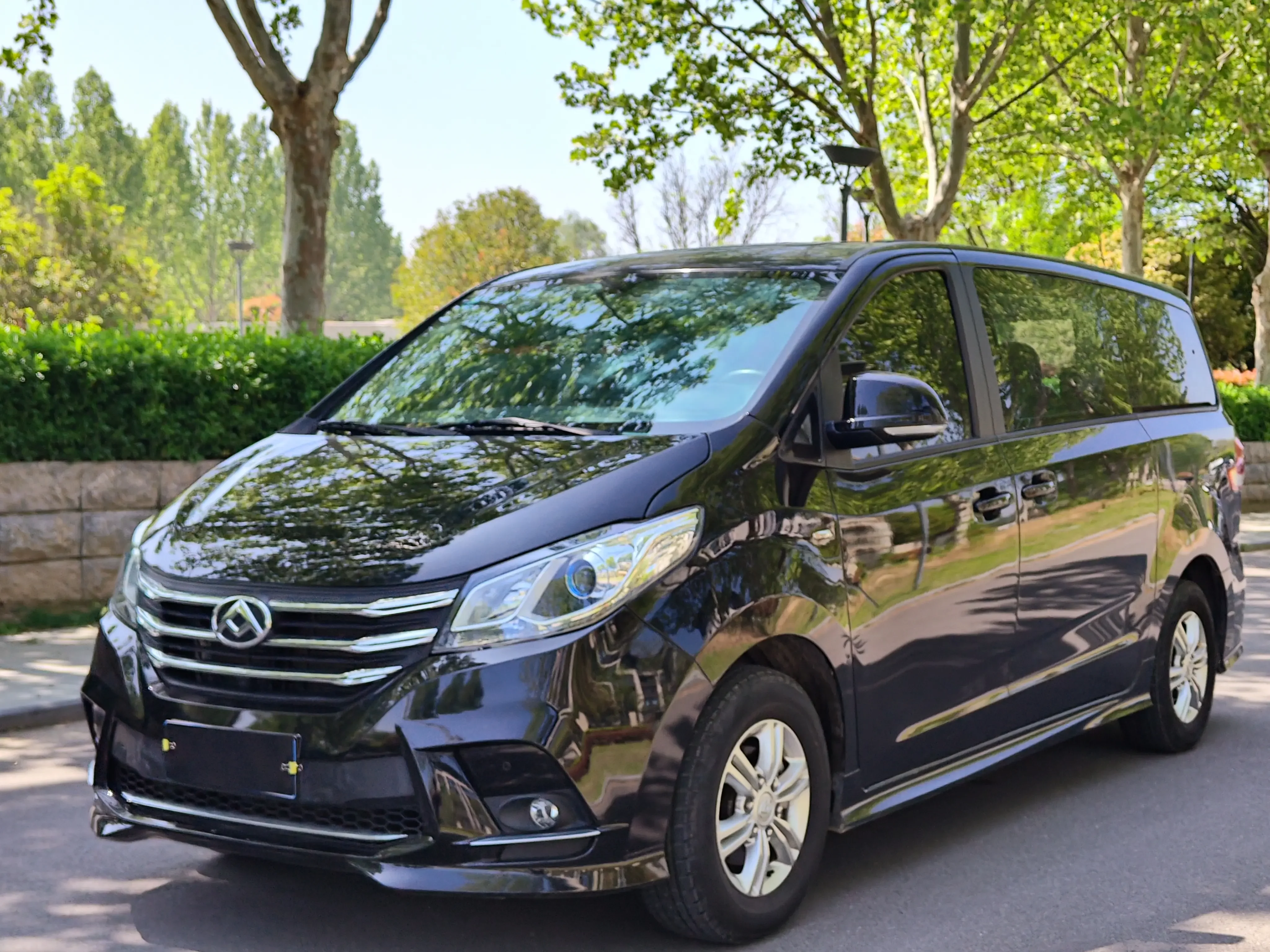 Datong Maxus G10