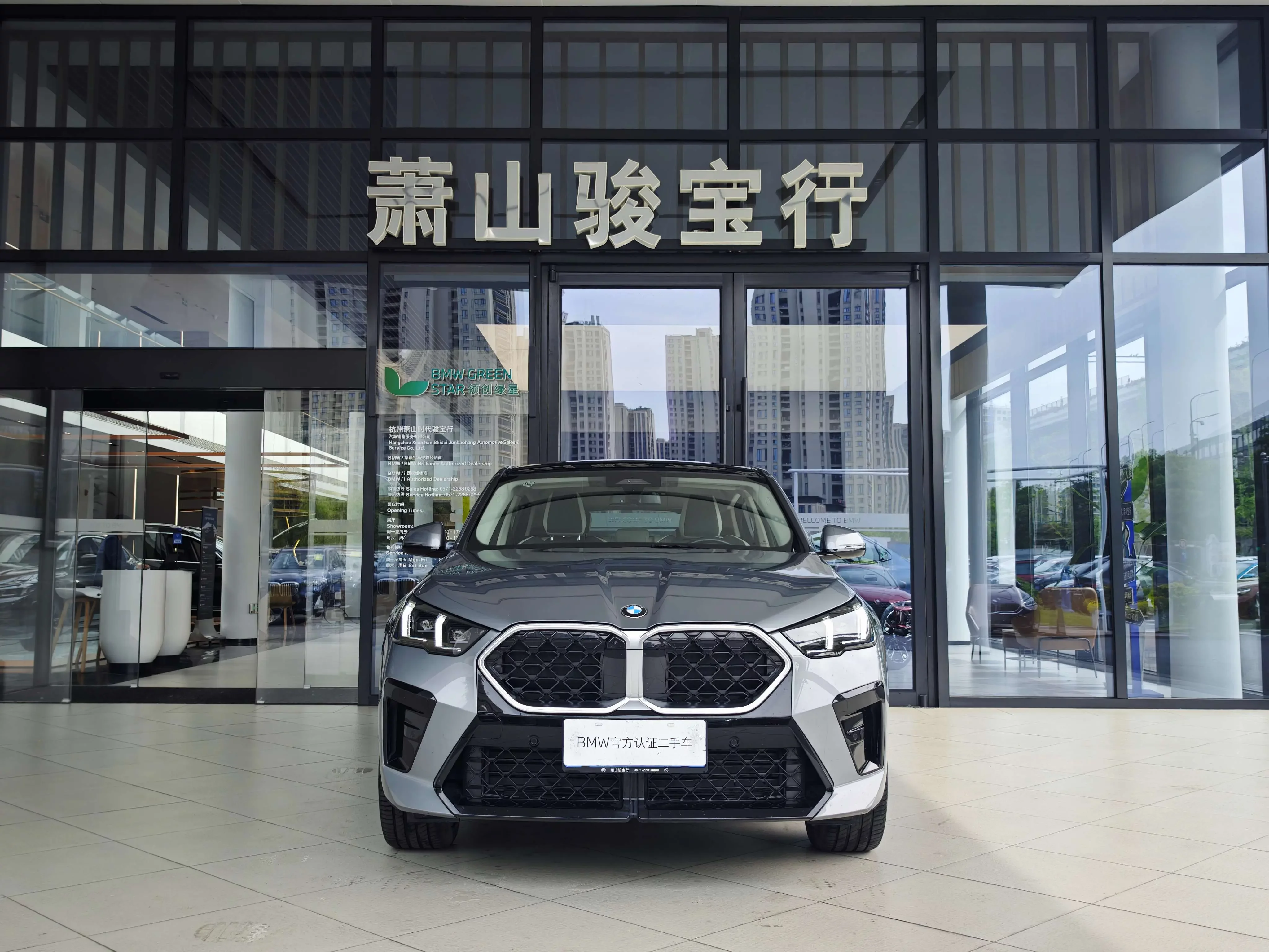 BMW X2