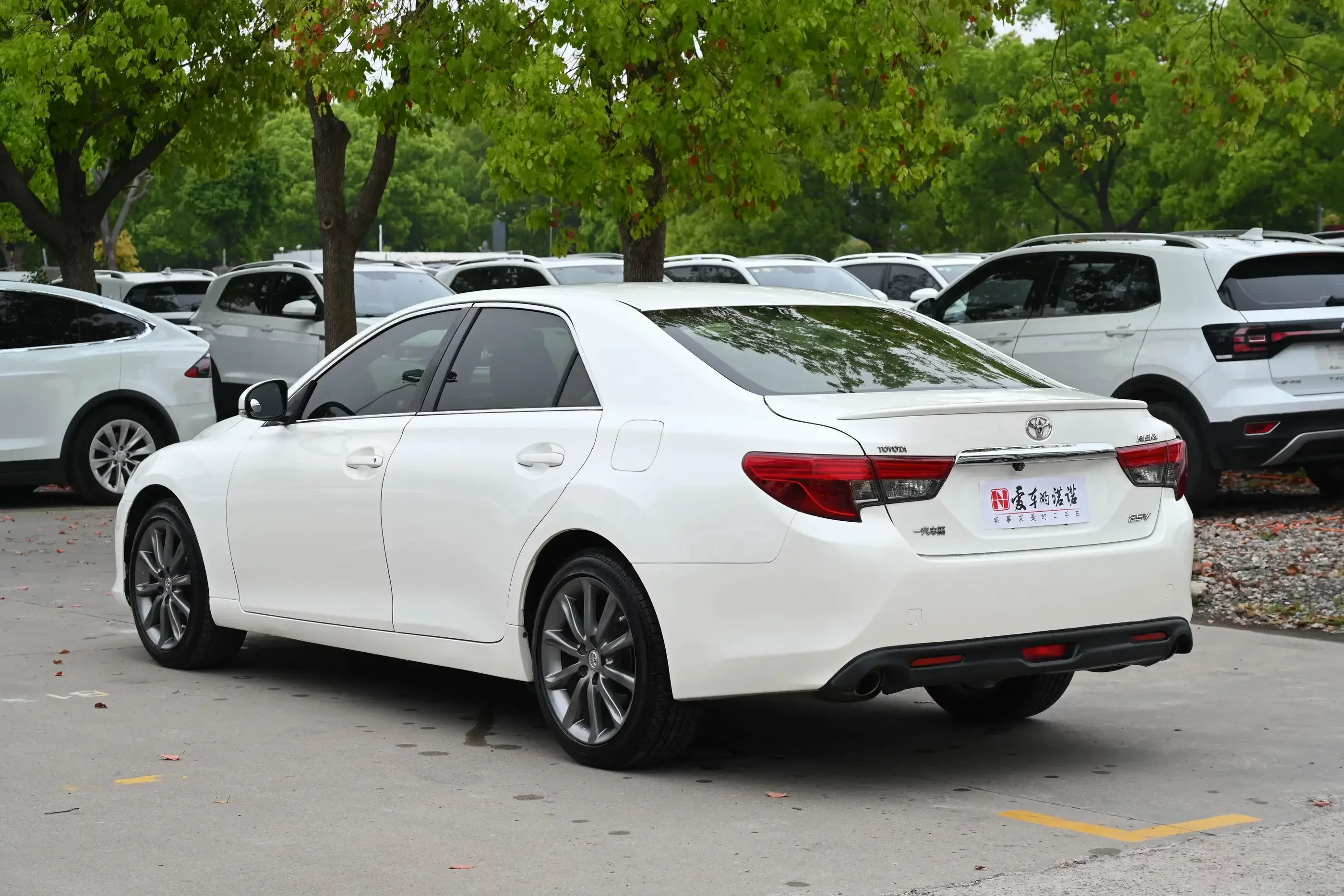 Toyota Ruizhi
