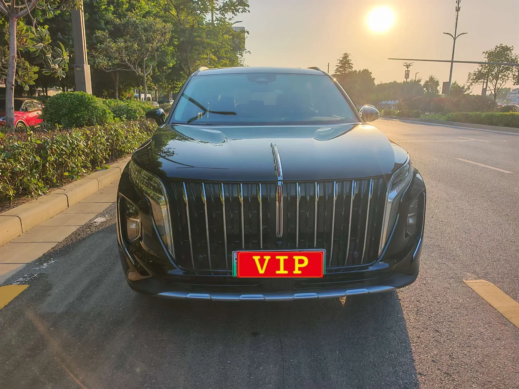 Hongqi HS7 PHEV
