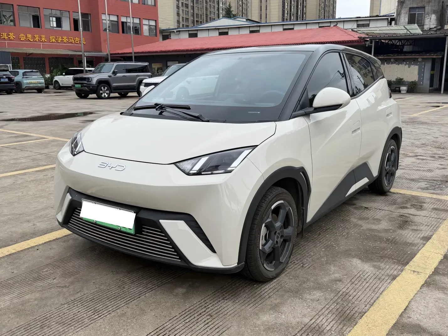 BYD seagull