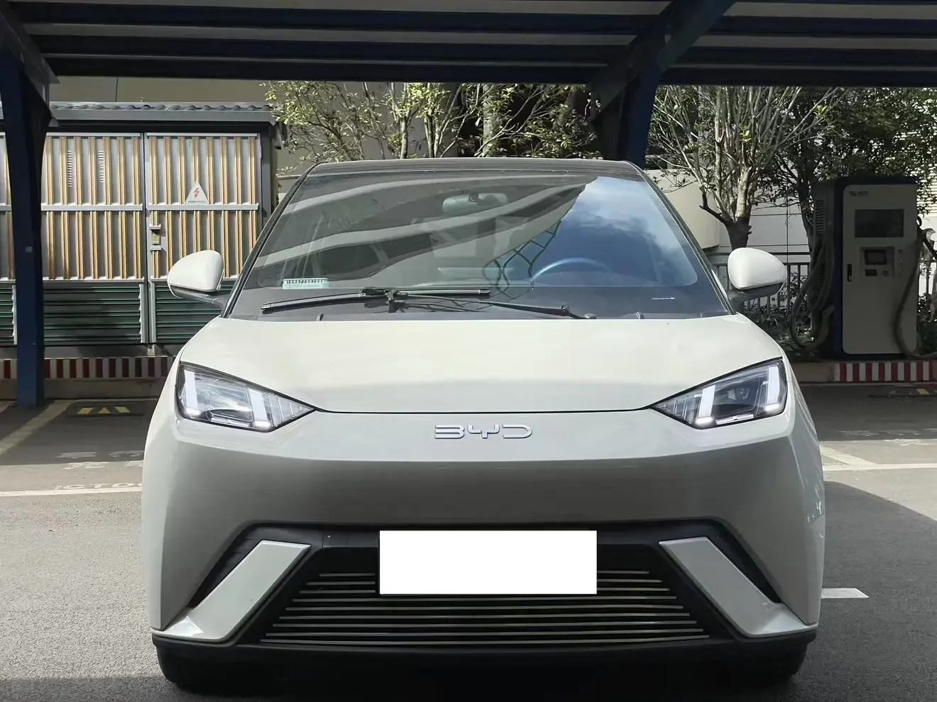 BYD seagull