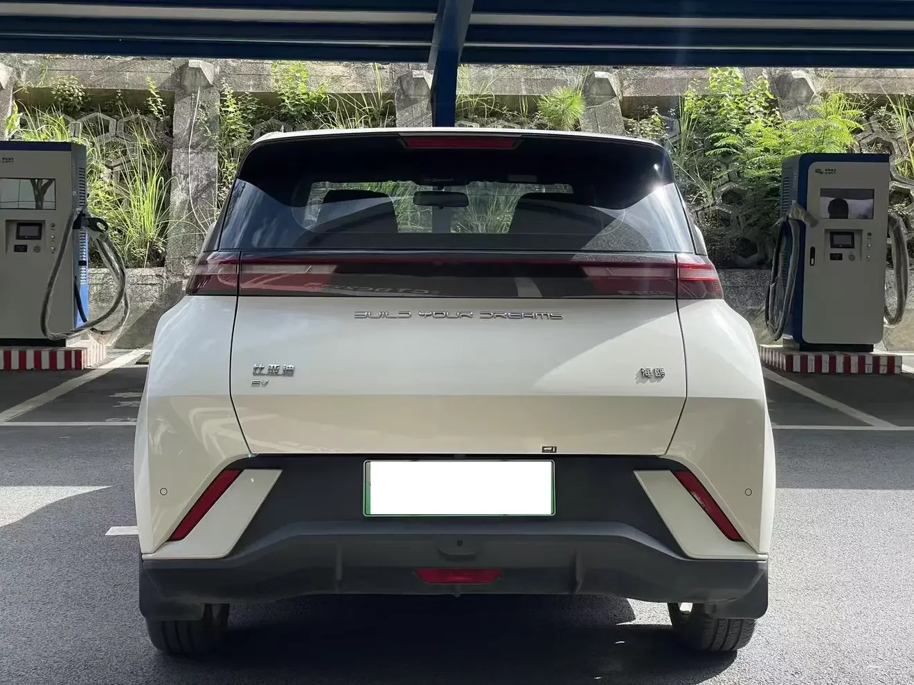 BYD seagull