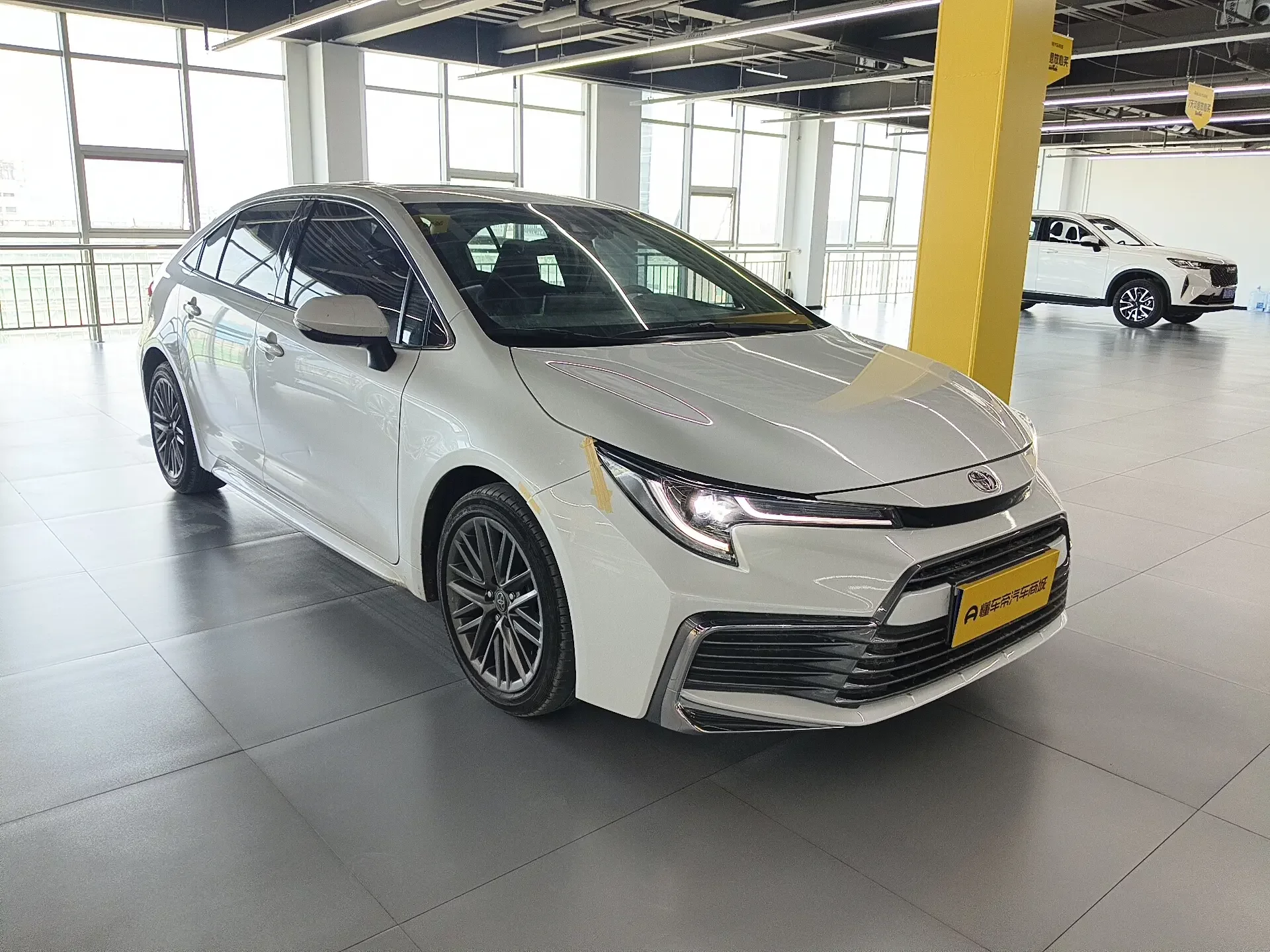 Toyota Levin