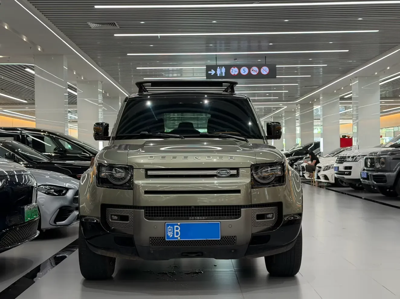 Land Rover guard
