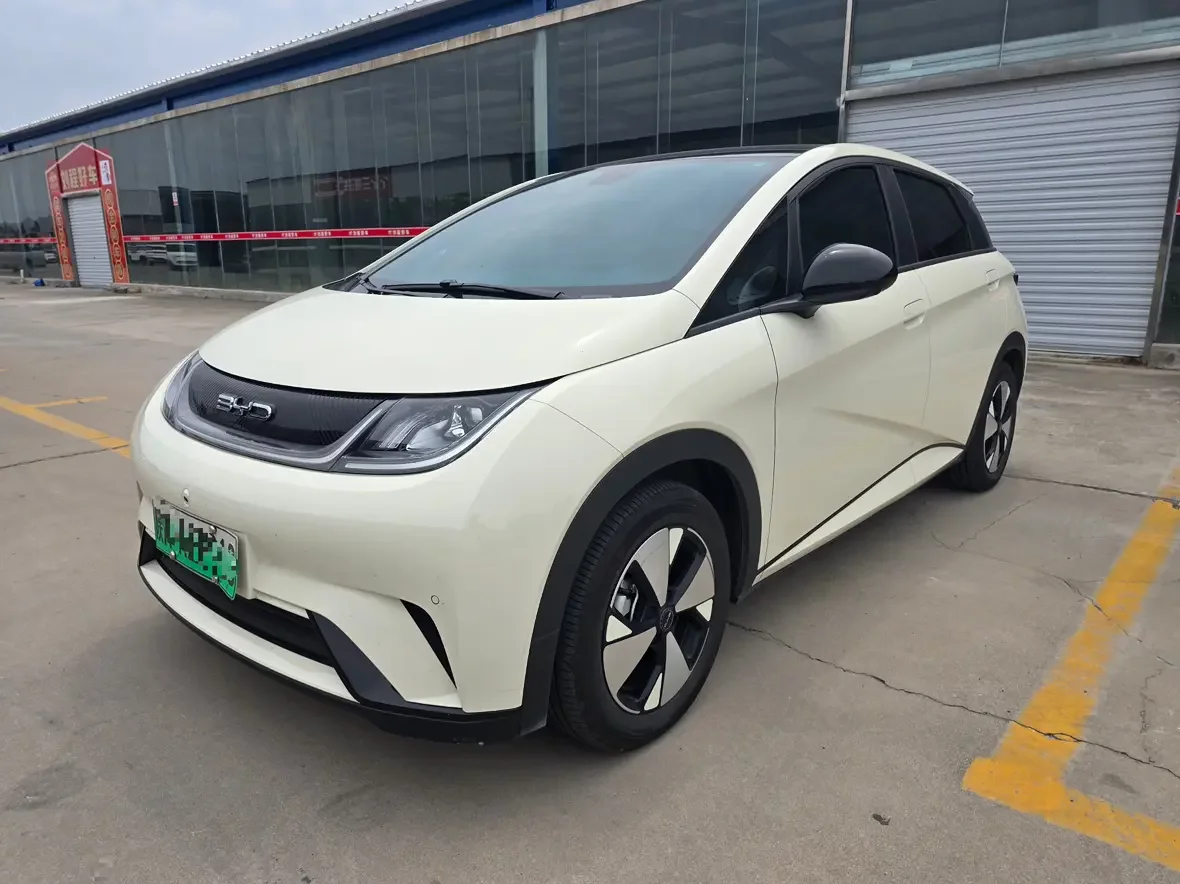 BYD dolphin