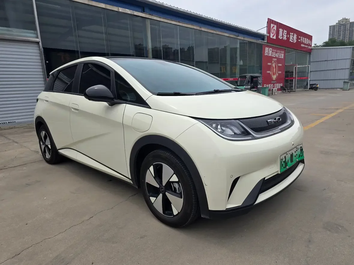 BYD dolphin