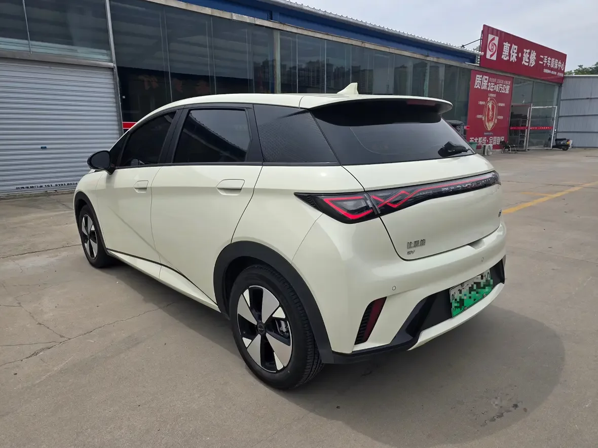 BYD dolphin
