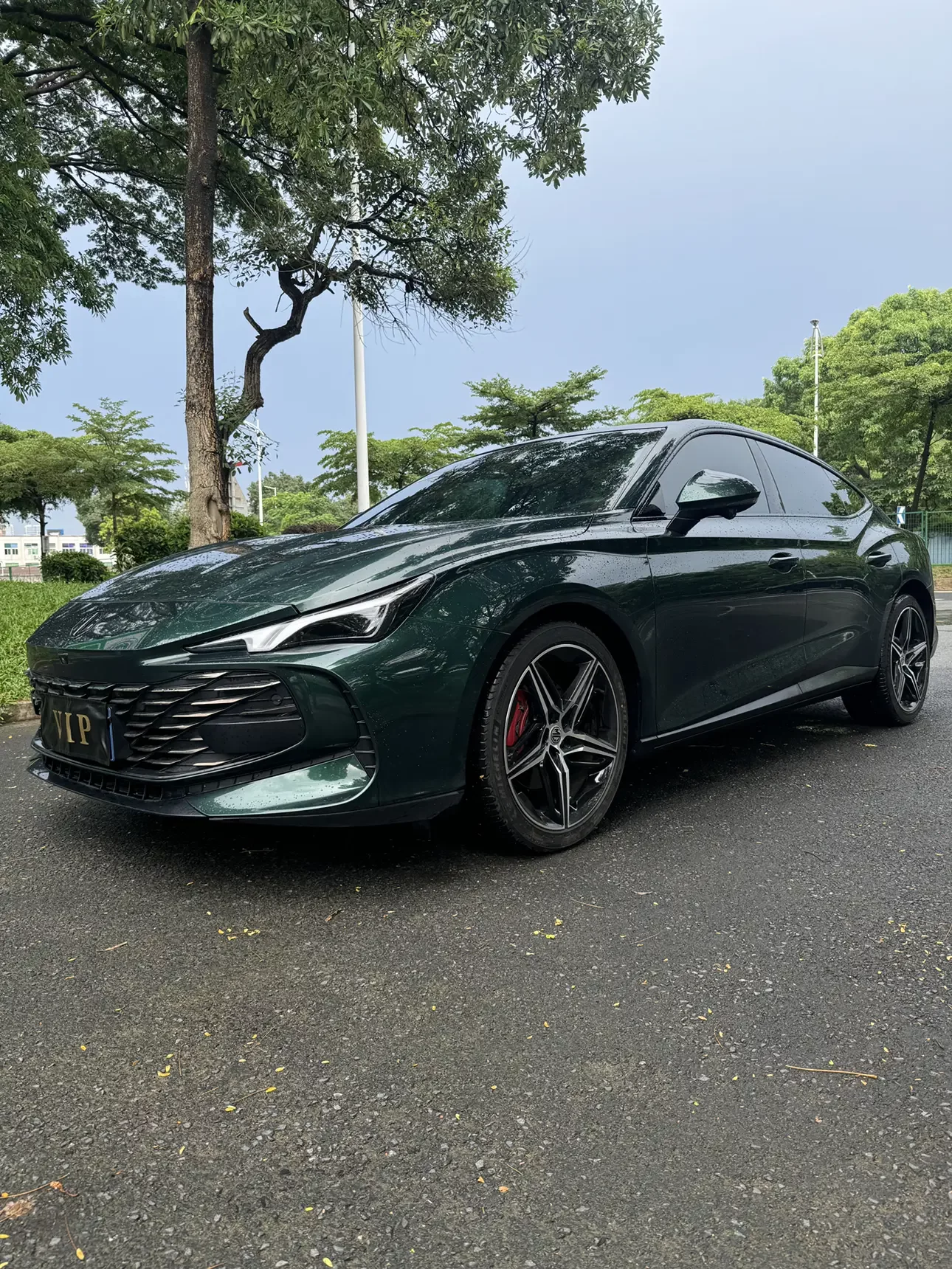 MG 7