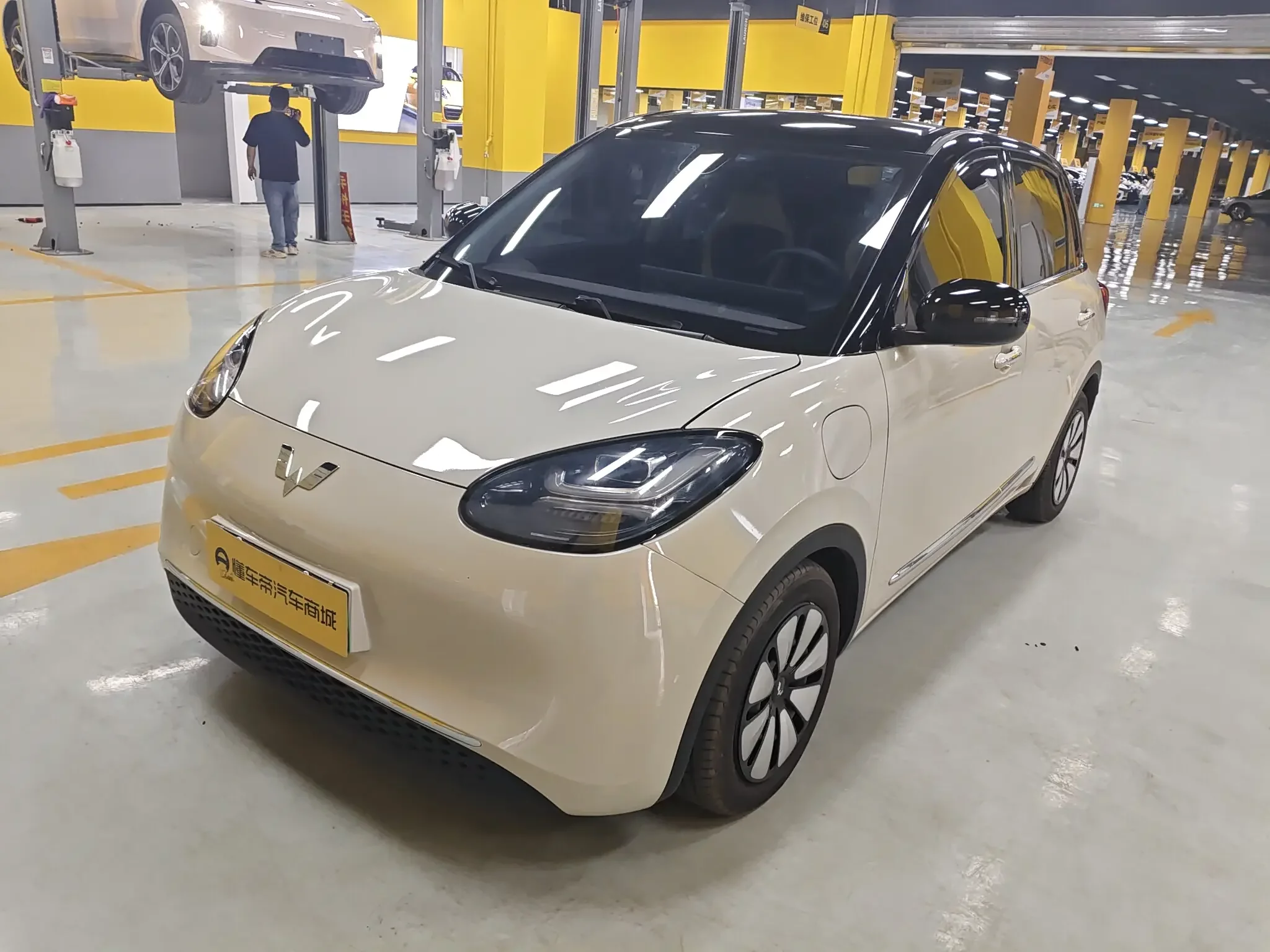 Wuling Bingo