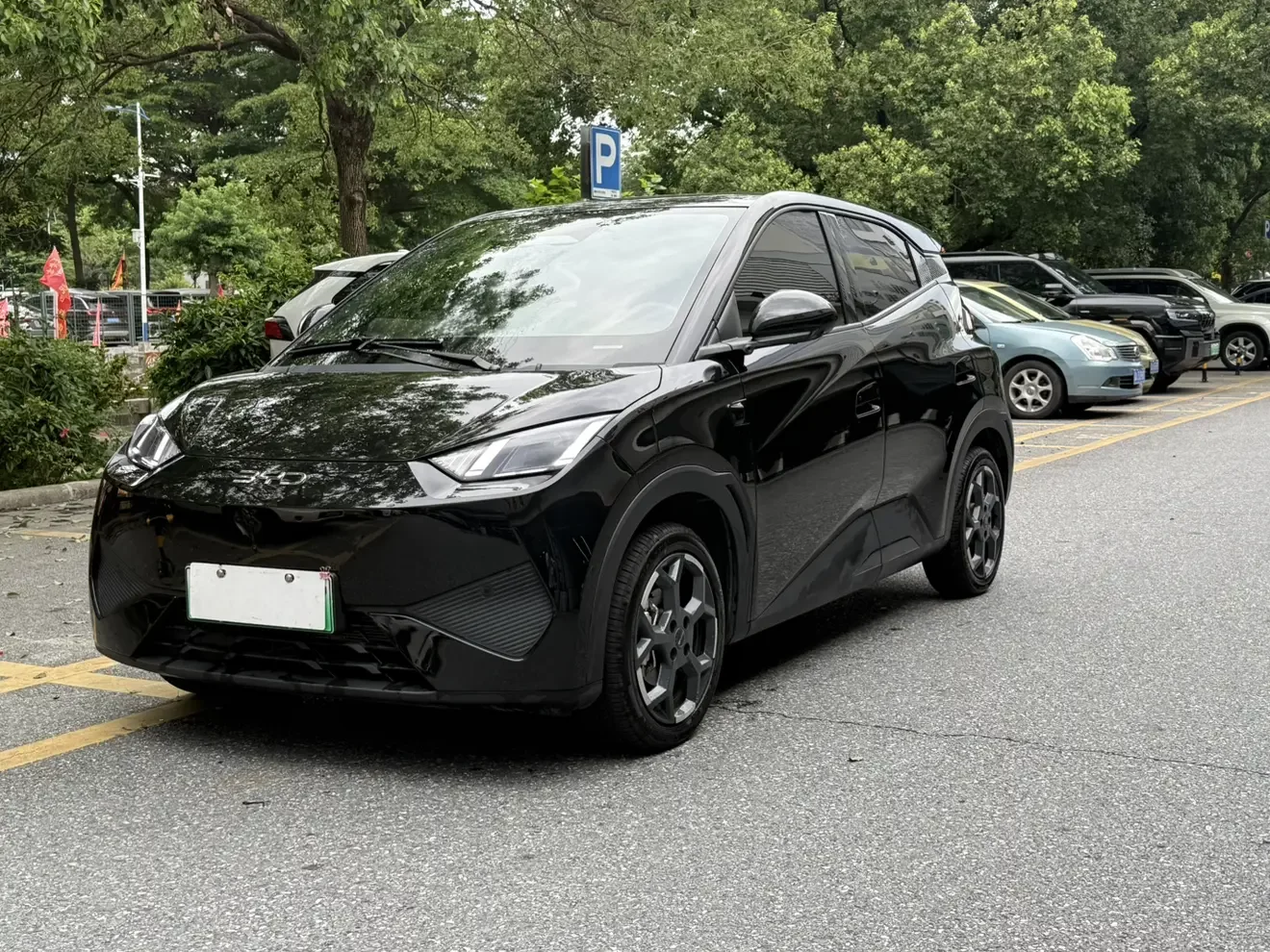 BYD seagull