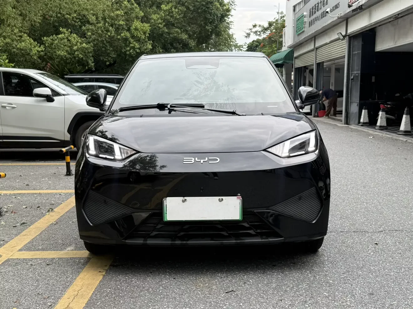 BYD seagull