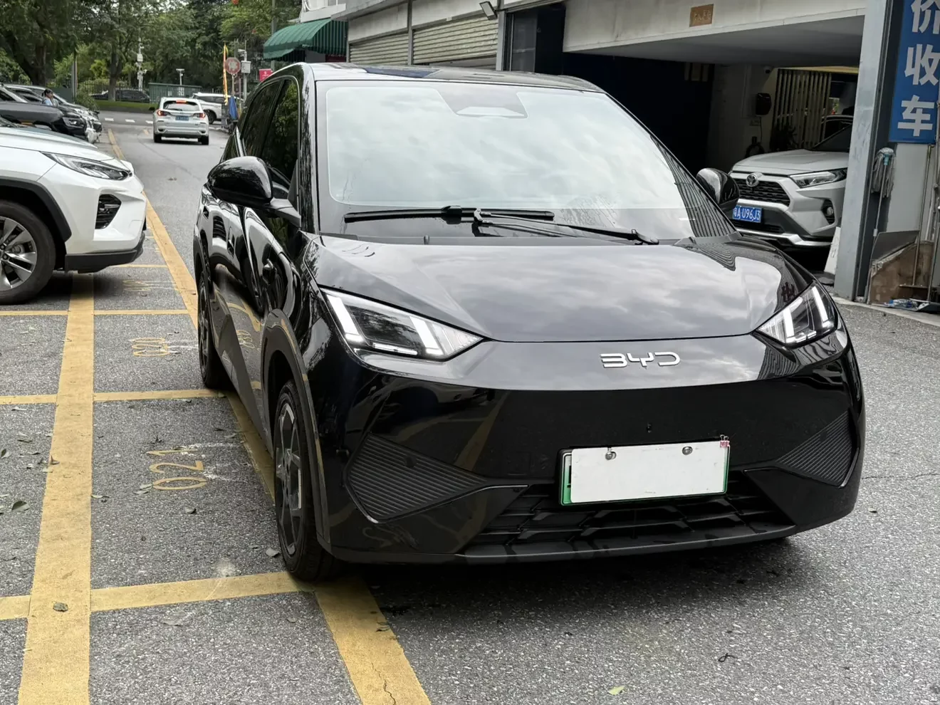 BYD seagull