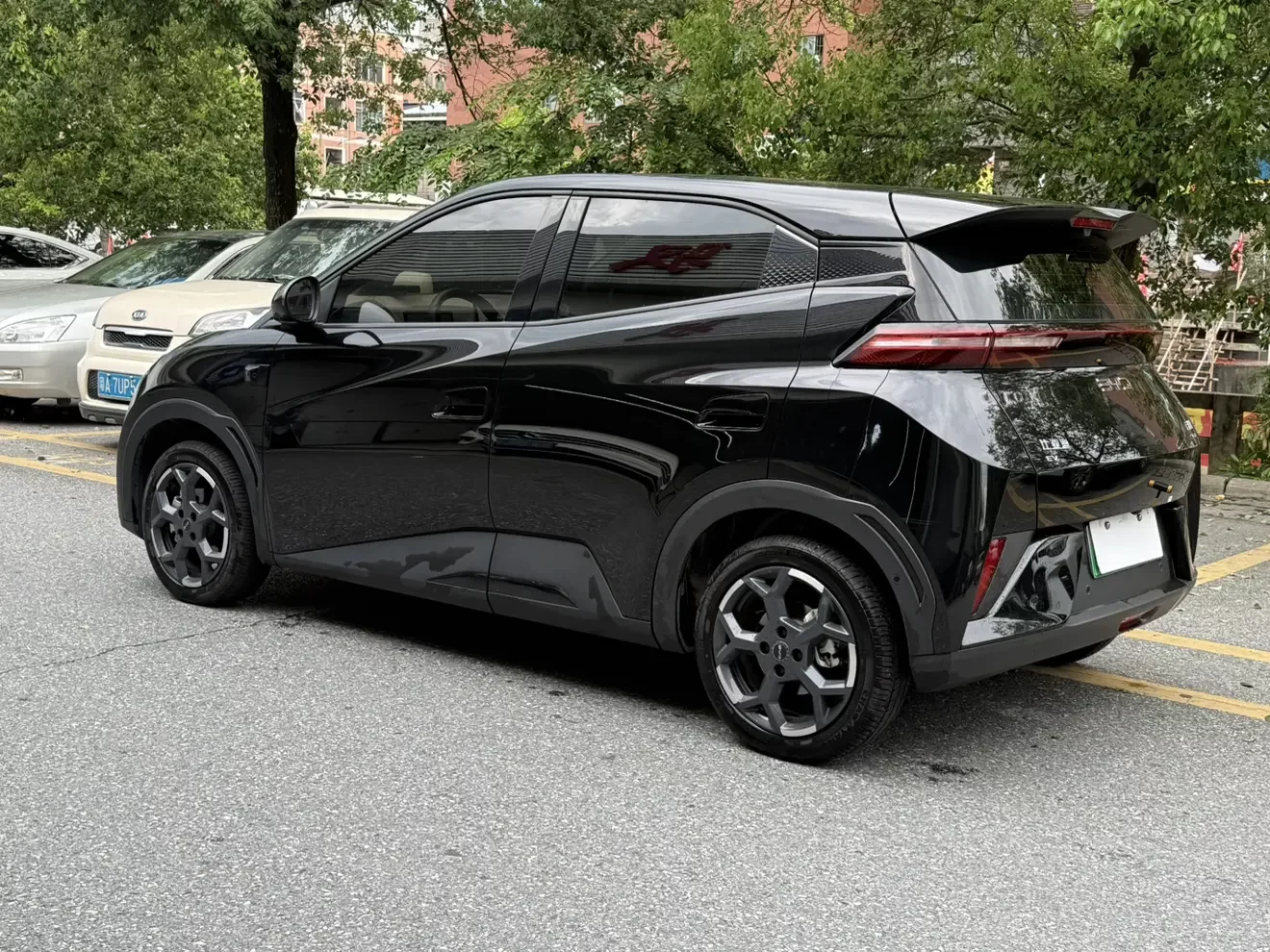 BYD seagull