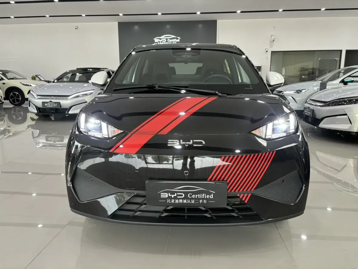 BYD seagull