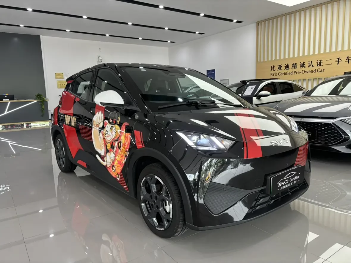 BYD seagull