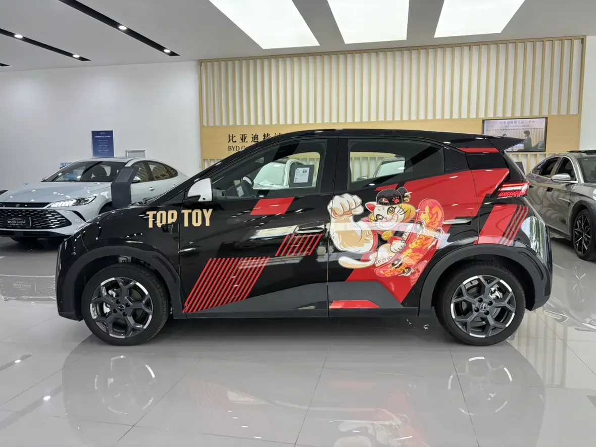 BYD seagull