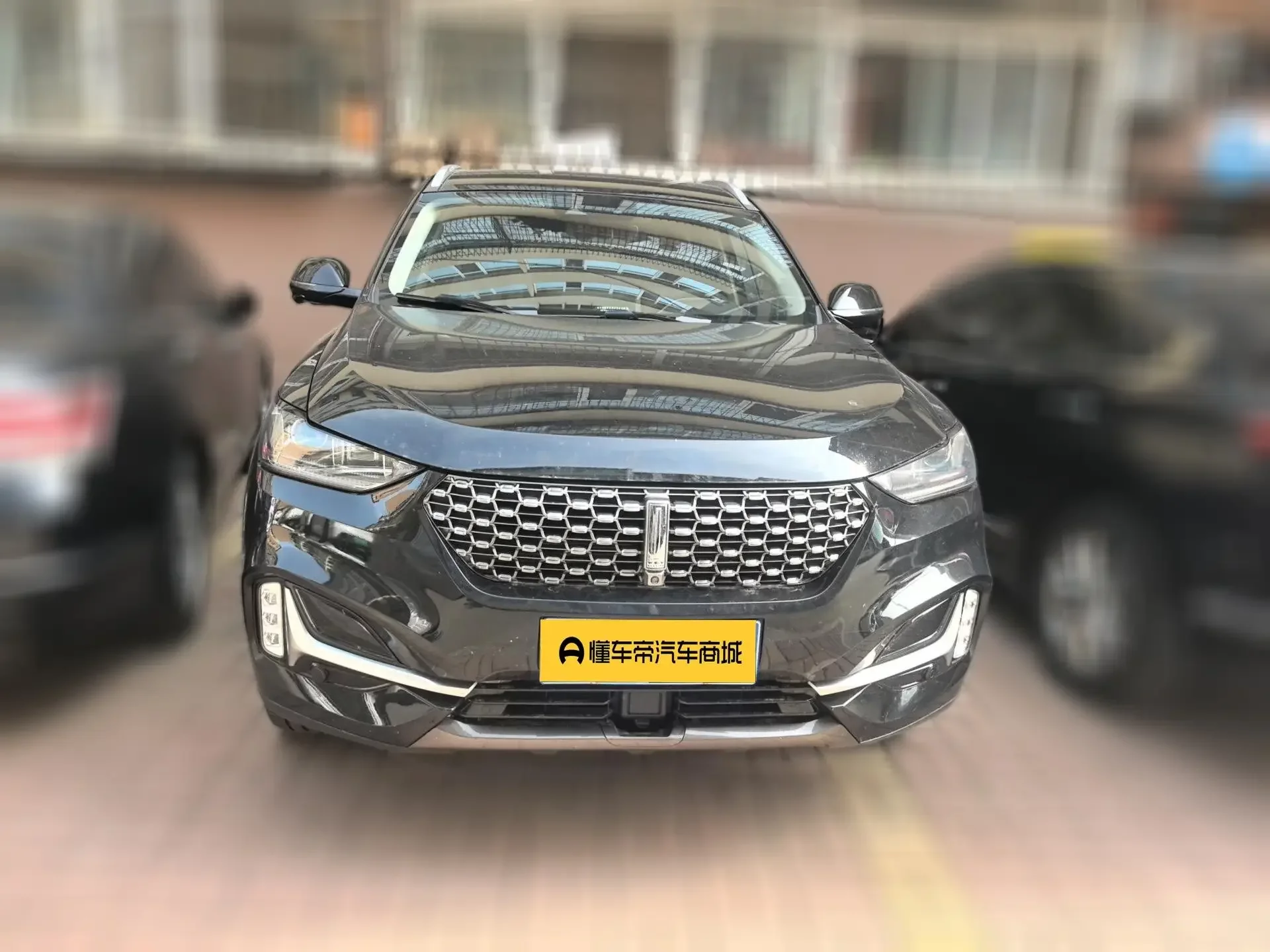 Wey Wei brand VV6