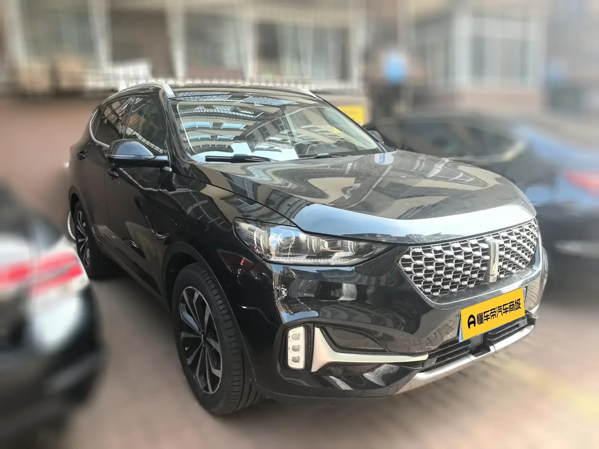 Wey Wei brand VV6