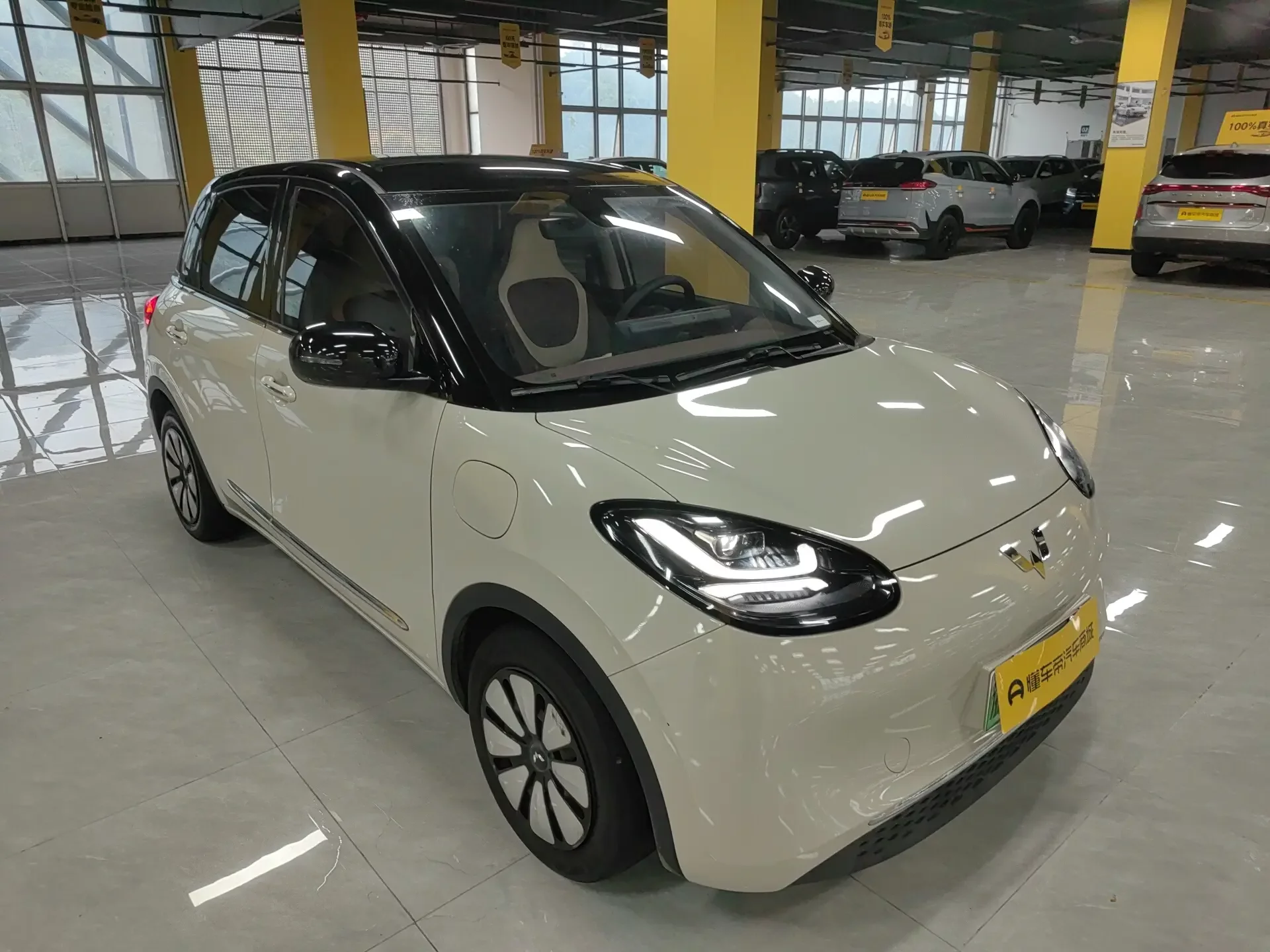 Wuling Bingo