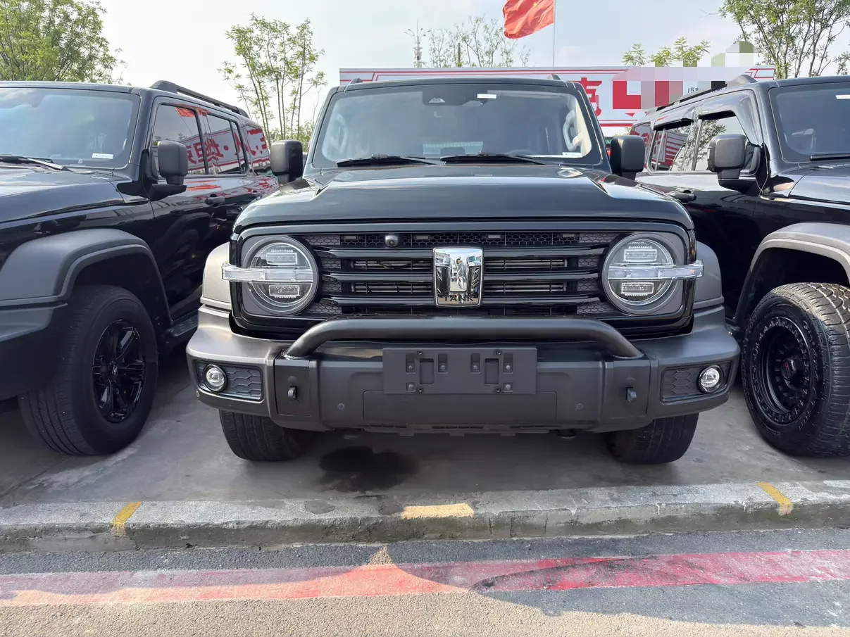 Tank 300