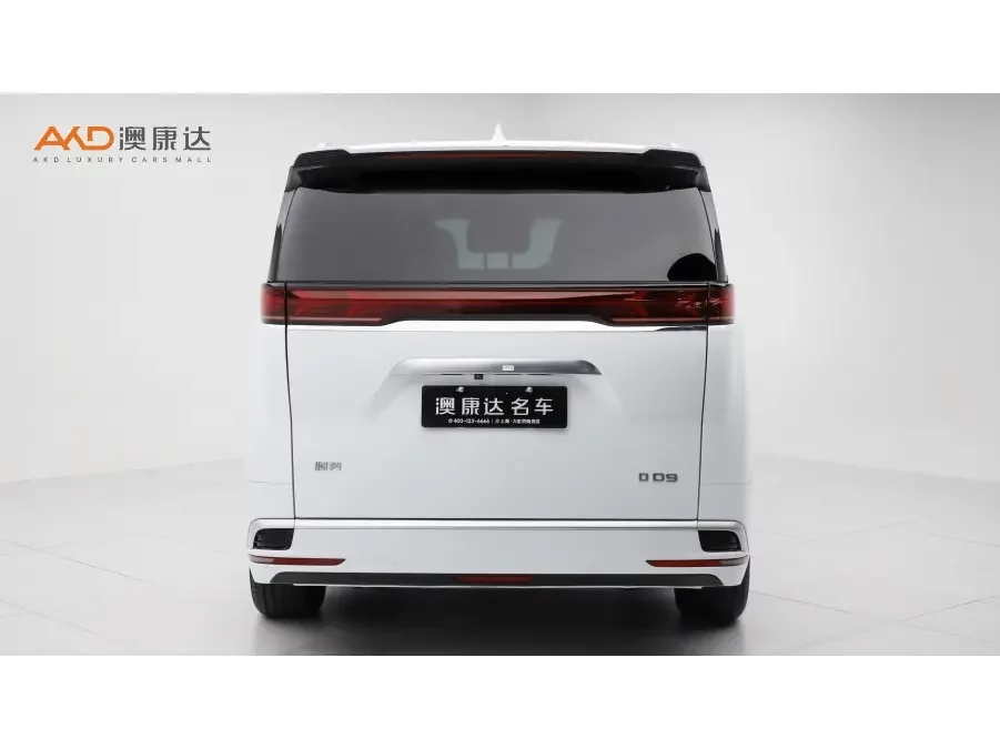Denza D9 DM