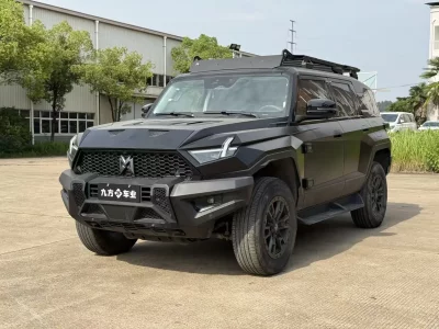Mengshi Warrior 917