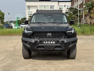 Mengshi Warrior 917