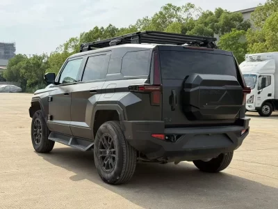 Mengshi Warrior 917