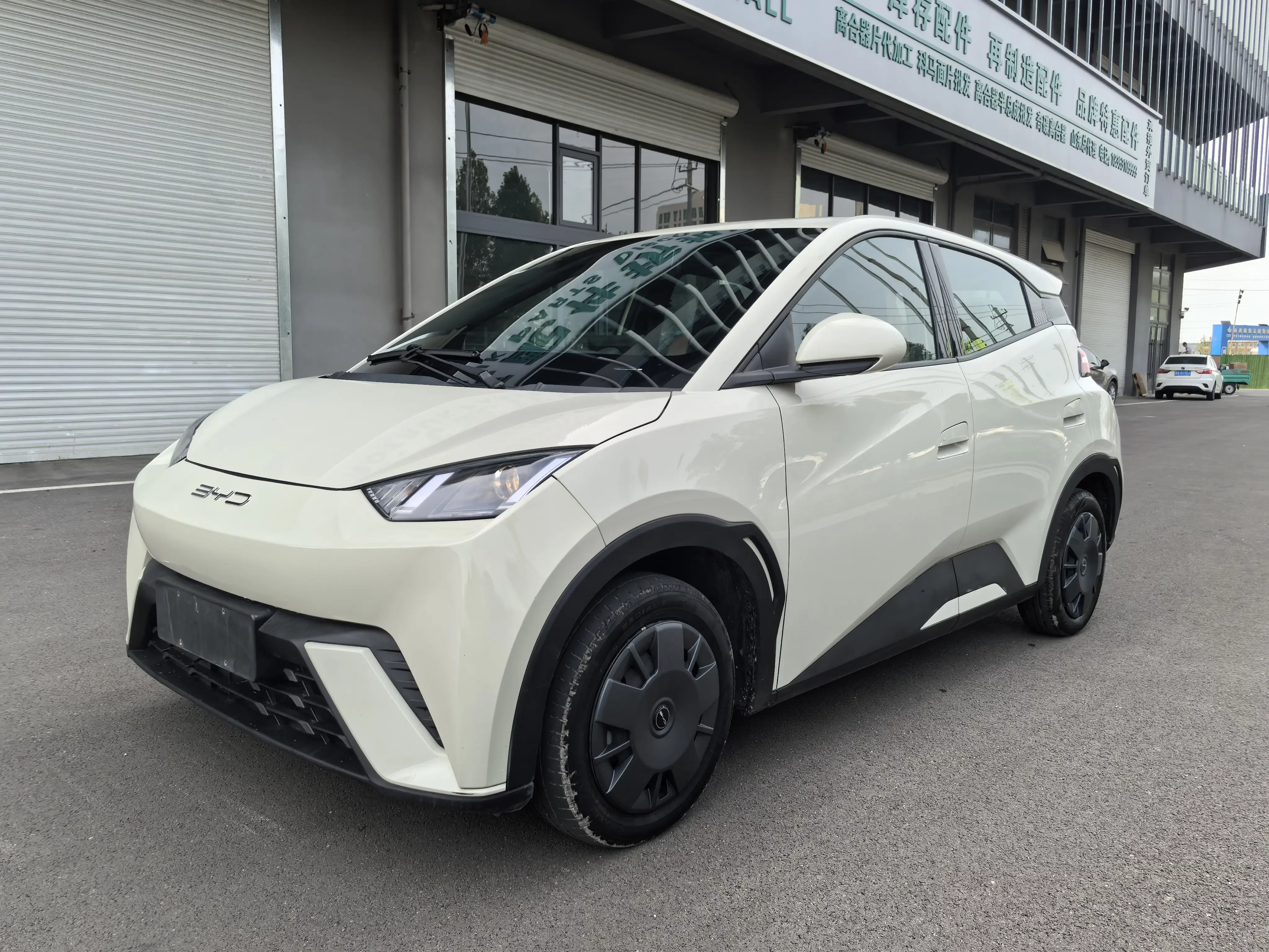 BYD seagull