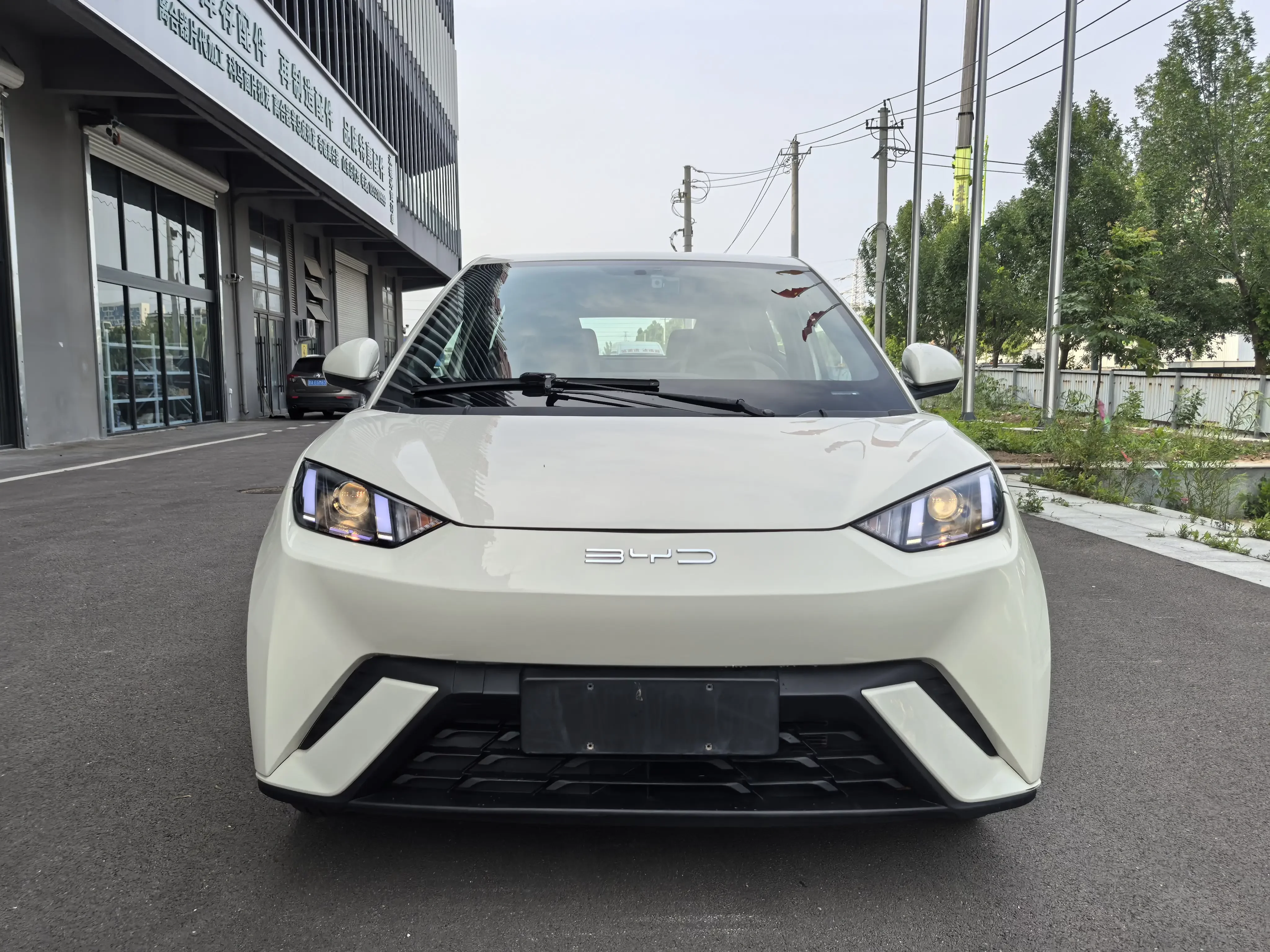 BYD seagull