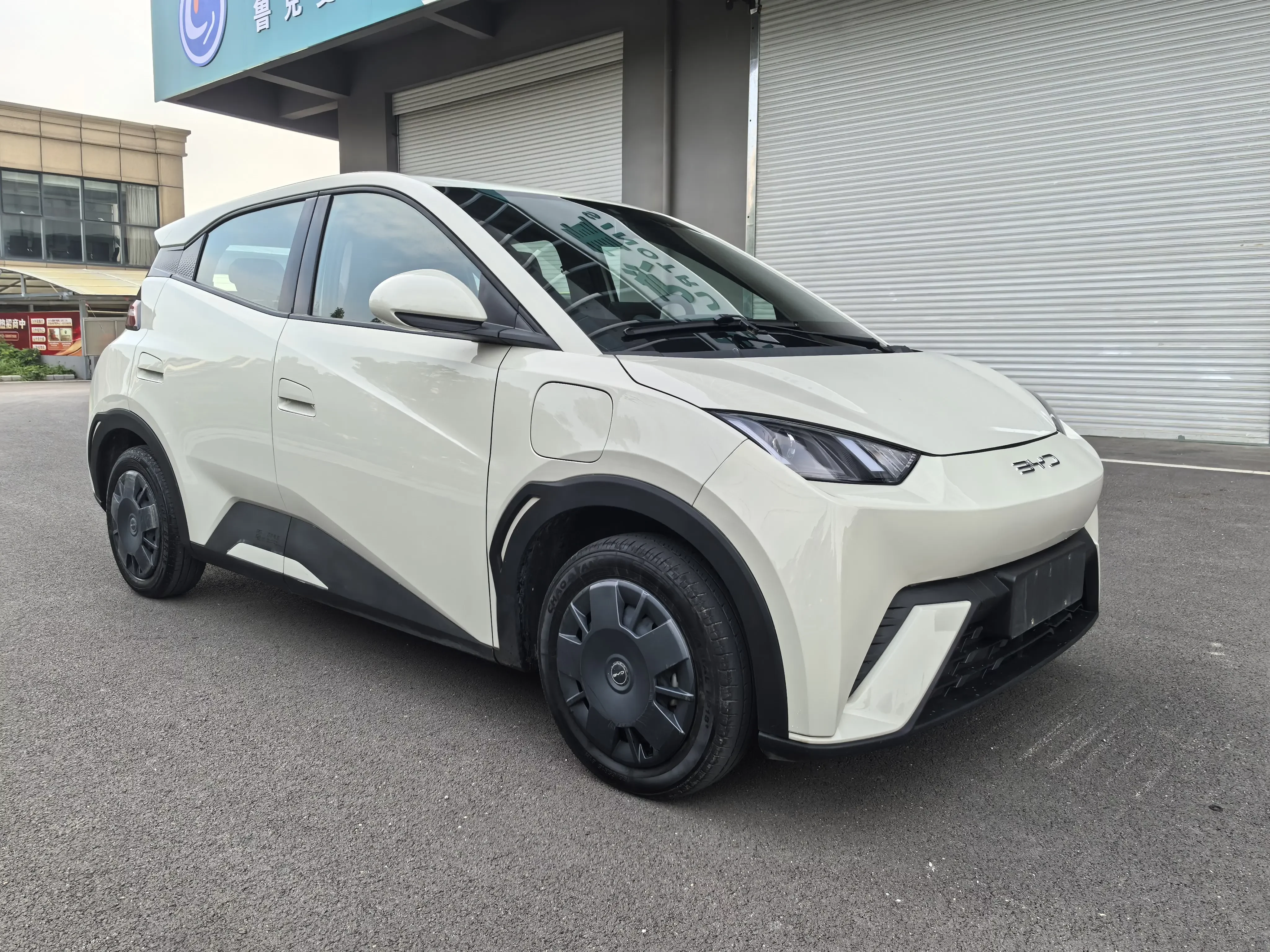 BYD seagull