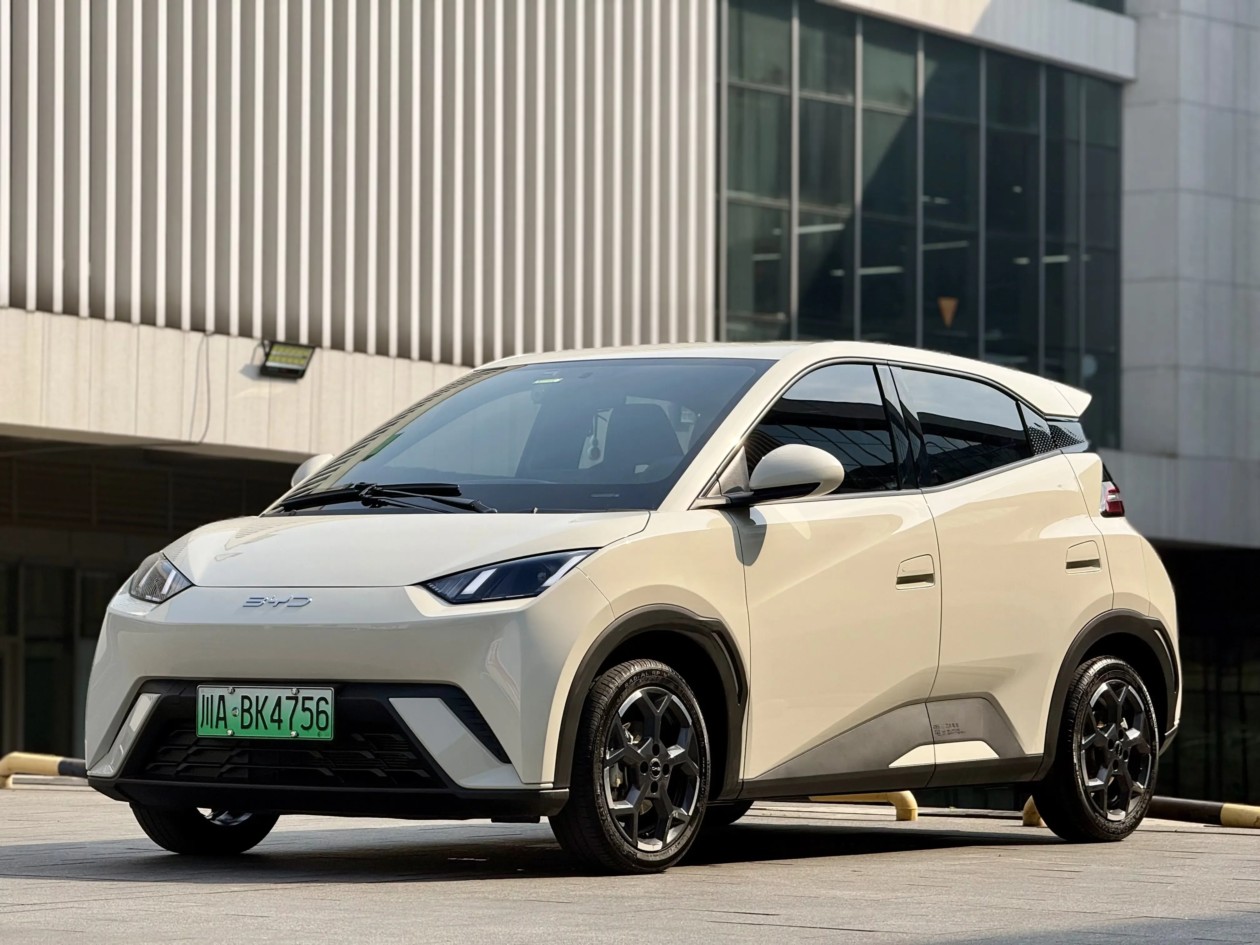 BYD seagull