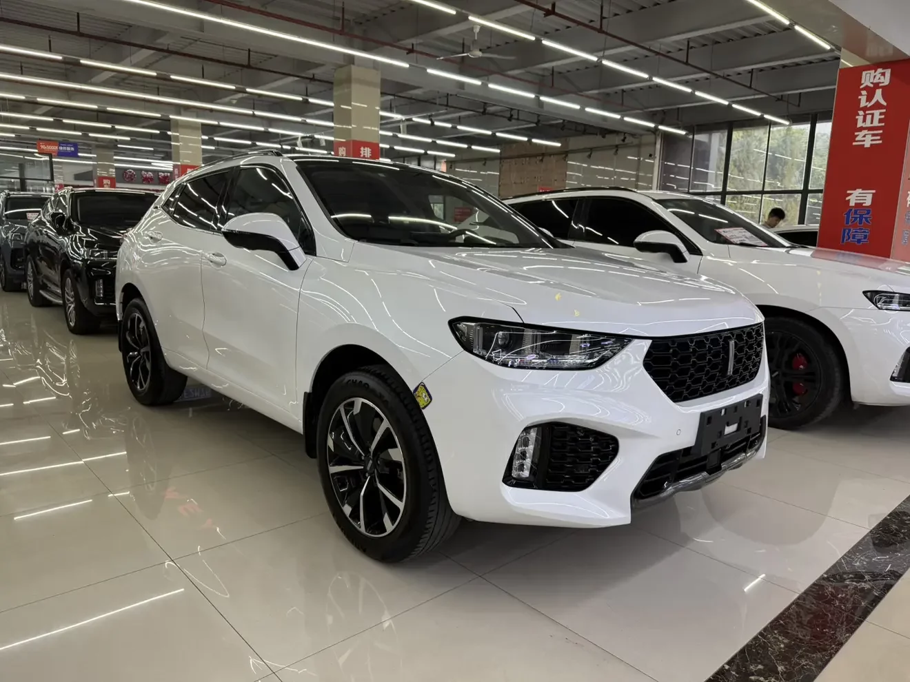 Wey Wei brand VV5