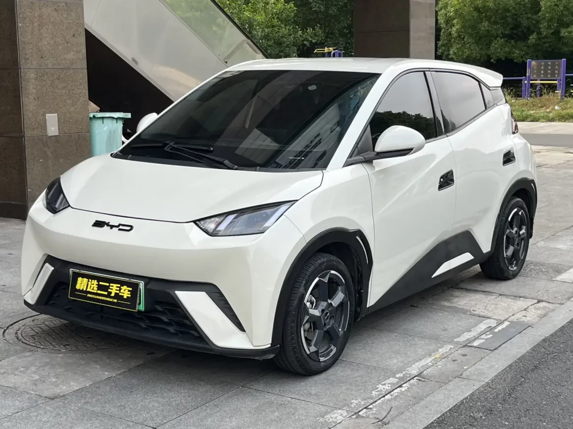 BYD seagull