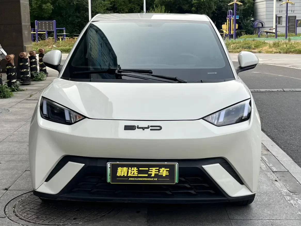 BYD seagull