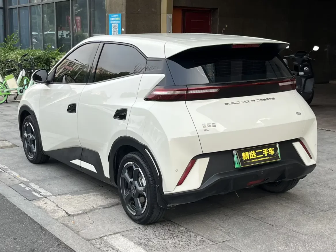 BYD seagull