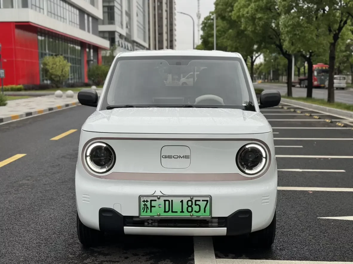 Geely panda