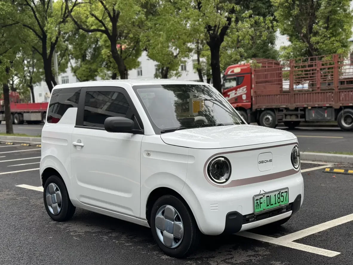 Geely panda