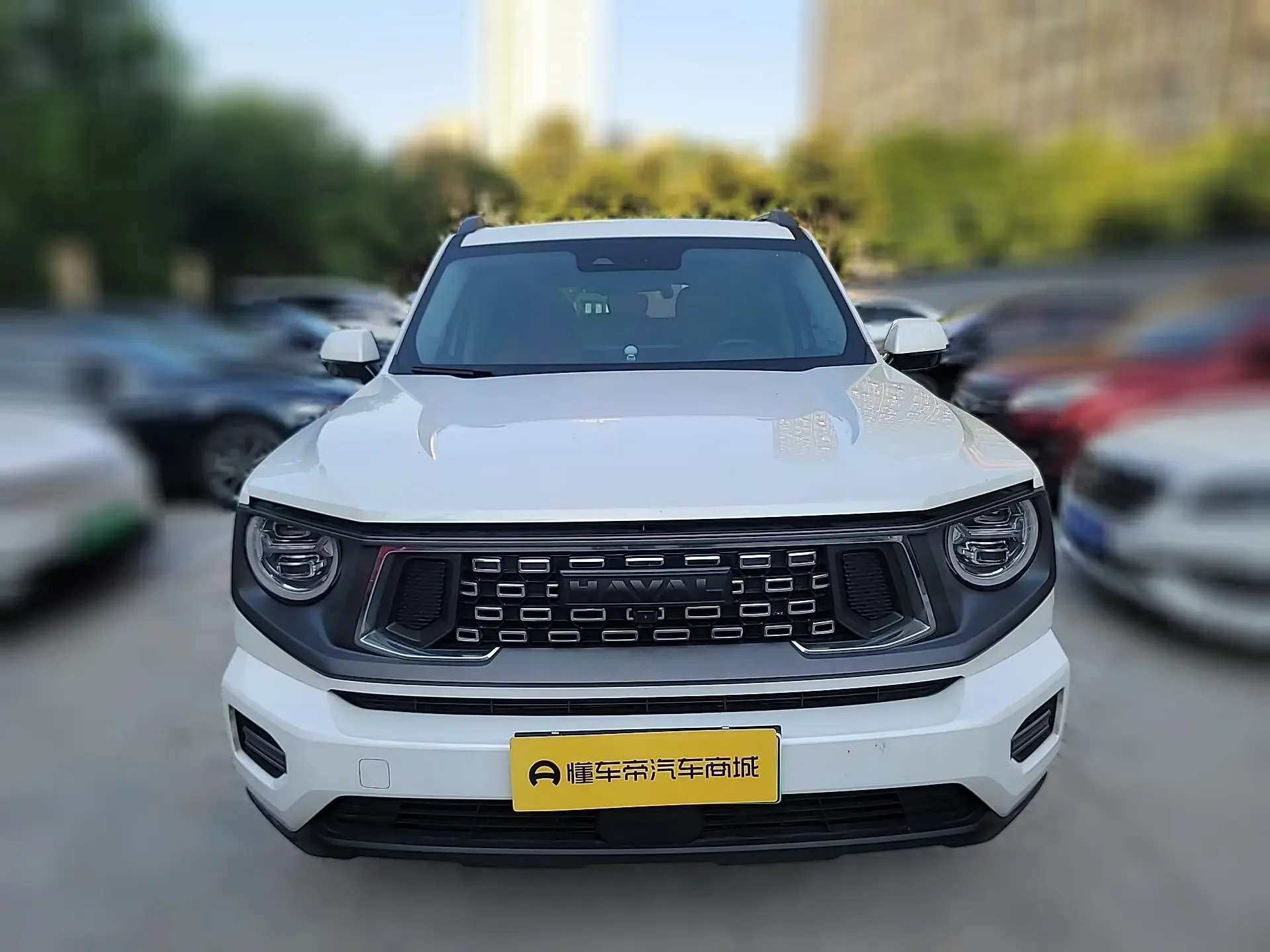 Haval Big Dog PLUS PHEV  из Китая
