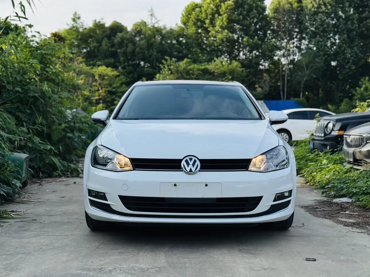 Volkswagen golf