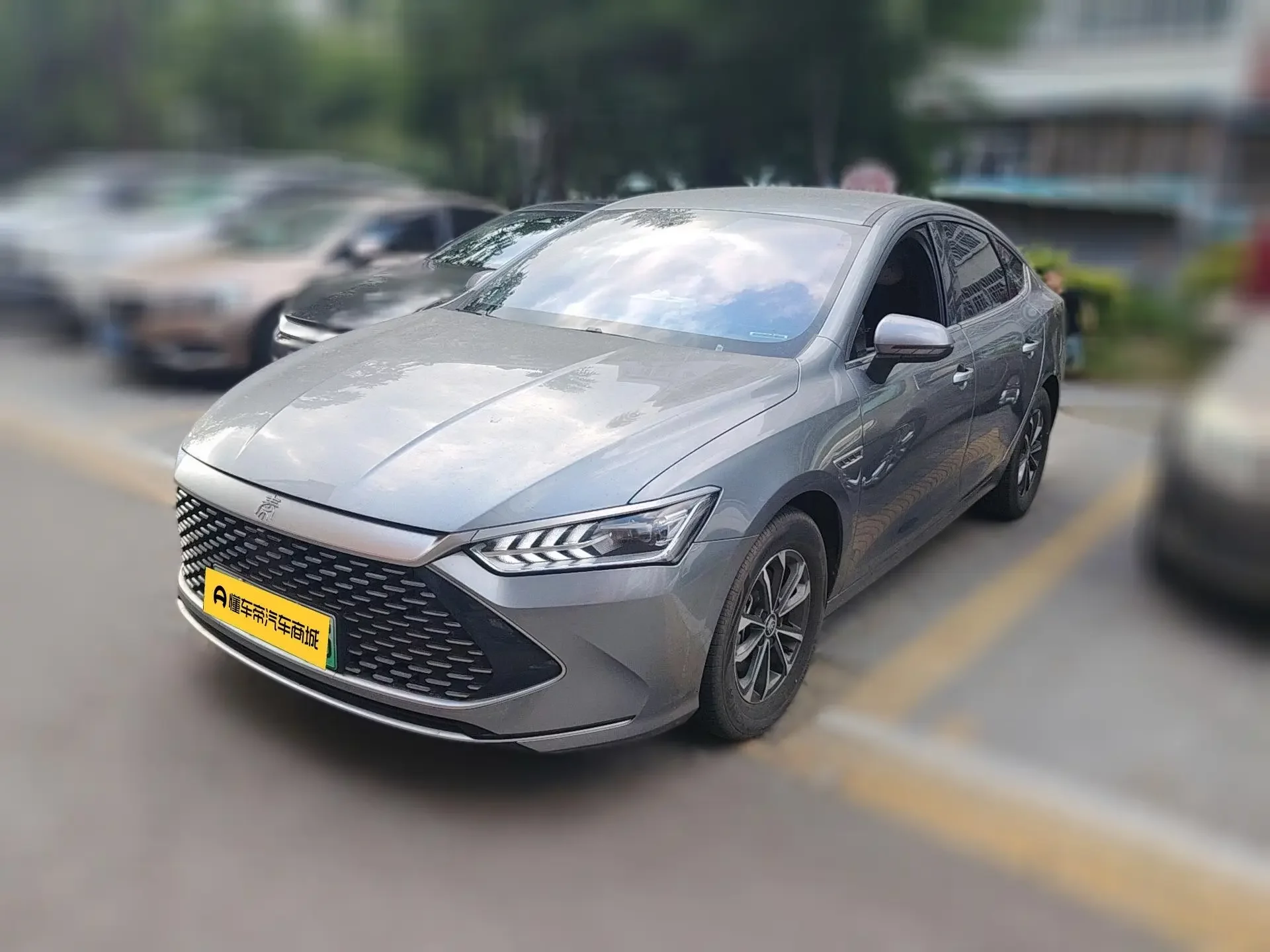 BYD Qin PLUS DM