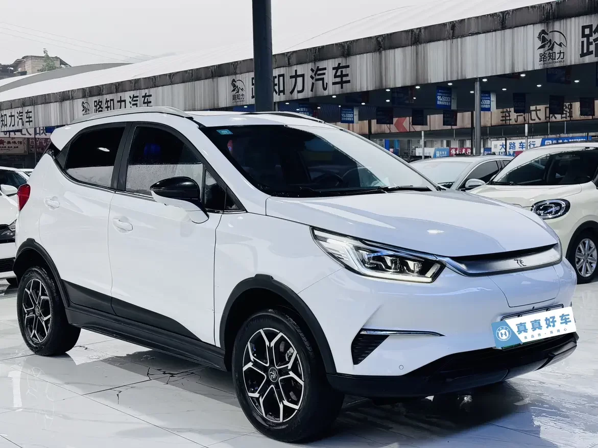 BYD Yuan Pro