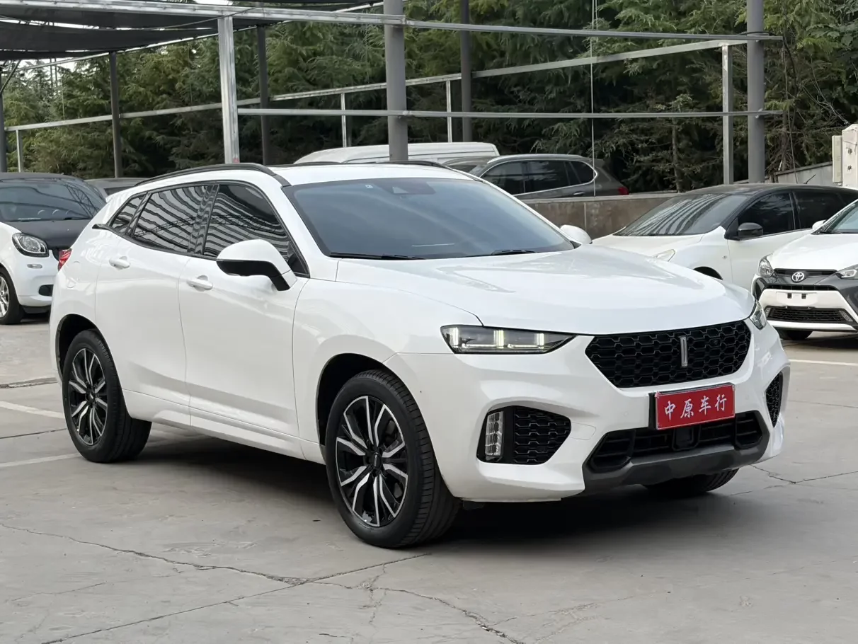 Wey Wei brand VV7