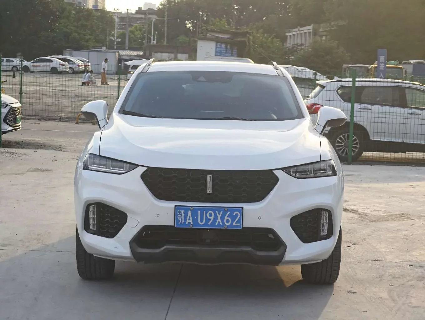 Wey Wei brand VV7